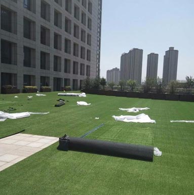 2019 paying and fixing of Lawn