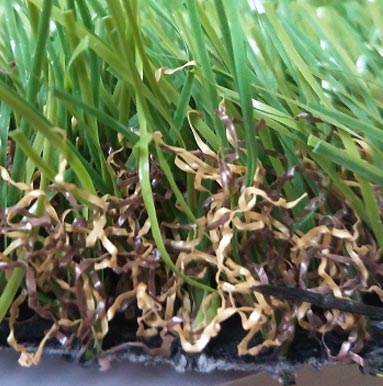 Maintenance and maintained of artificial turf